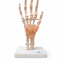 ChatGPT Image 17 dic 2025, 12_33_57 p.m.